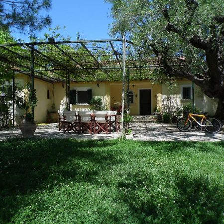 Theni Olive Grove Villa Kato Yerakarion Buitenkant foto