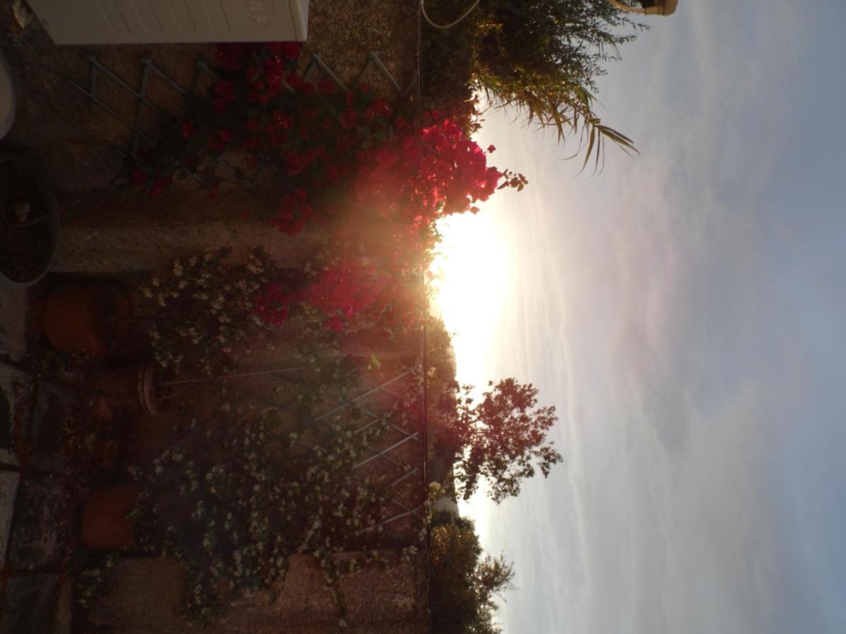 Theni Olive Grove Villa Kato Yerakarion Buitenkant foto