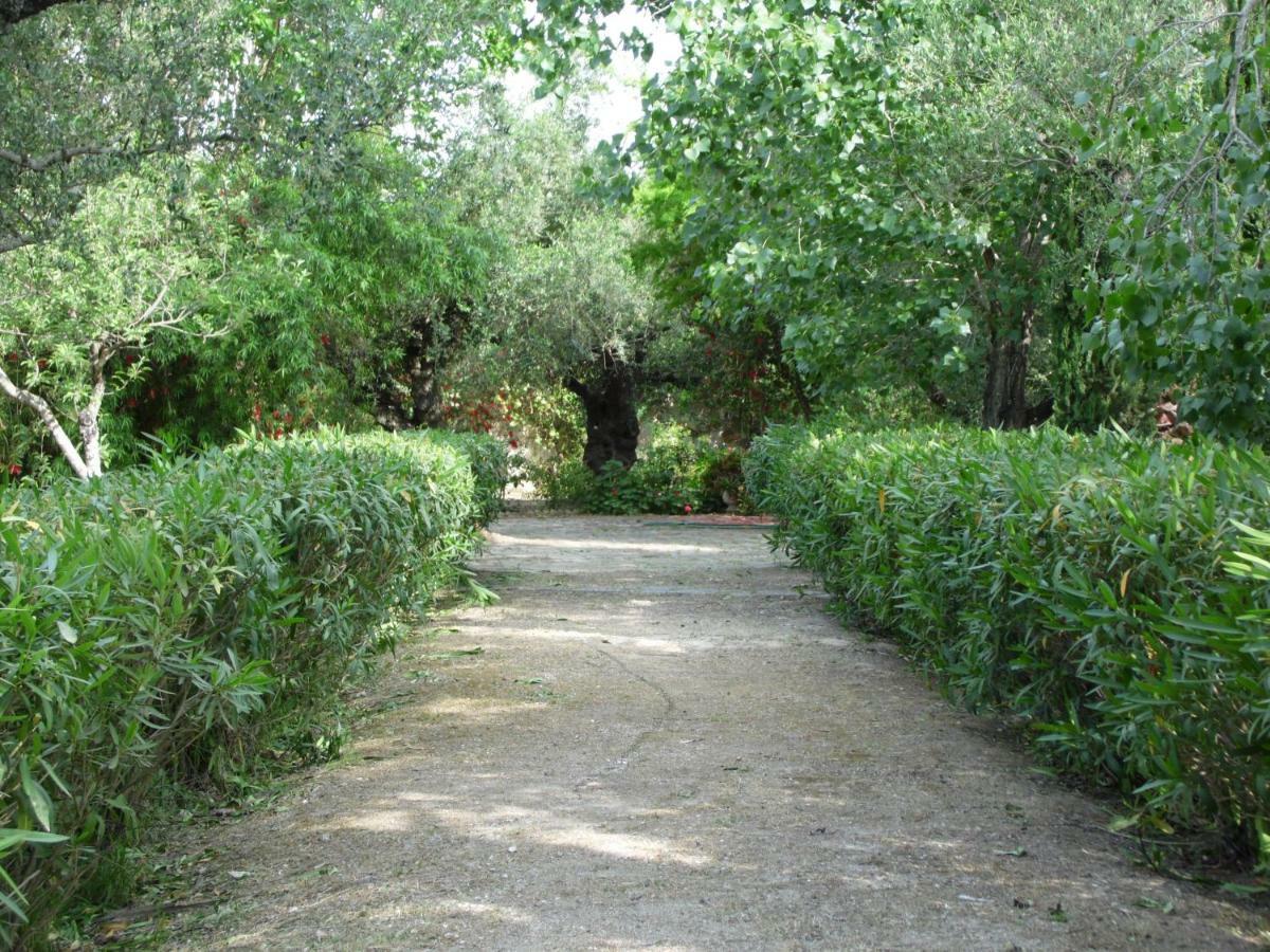 Theni Olive Grove Villa Kato Yerakarion Buitenkant foto