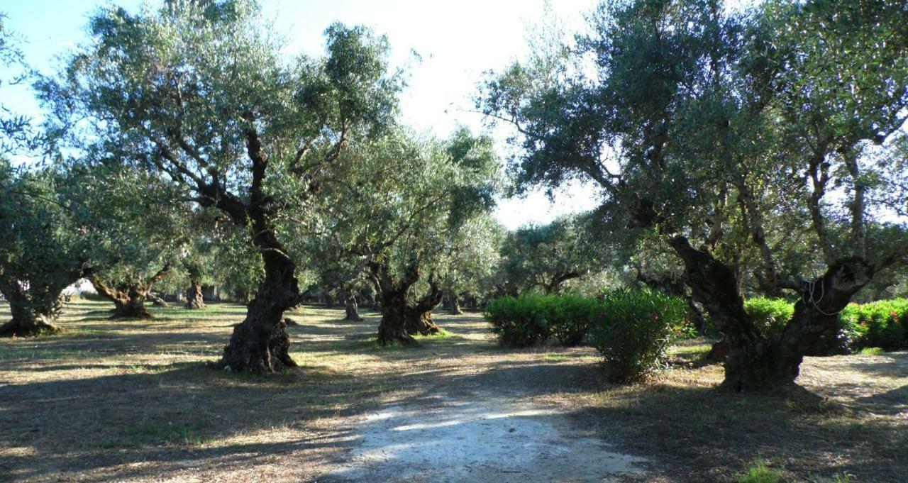 Theni Olive Grove Villa Kato Yerakarion Buitenkant foto