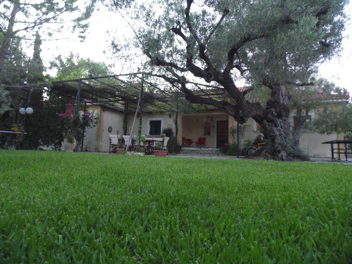 Theni Olive Grove Villa Kato Yerakarion Buitenkant foto